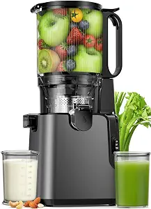 YPONE 2-in-1 cold press juicer with large chute, titanium gray