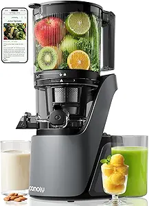 Canoly C16 cold press juicer with extra wide feed chute, space gray