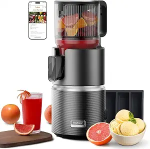 Anybear cold press juicer with dual slow-squeezing technology, dark grey